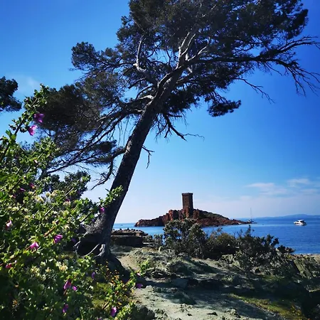 Appartement 2 Pièces Proche Centre Et