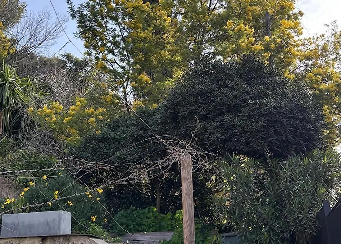 2 Pieces Proche Centre Et *